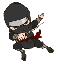Ninja11