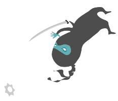 Ninja15