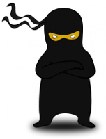 Ninja Toy