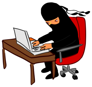 Ninja at Desk