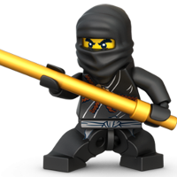 Ninja Toy